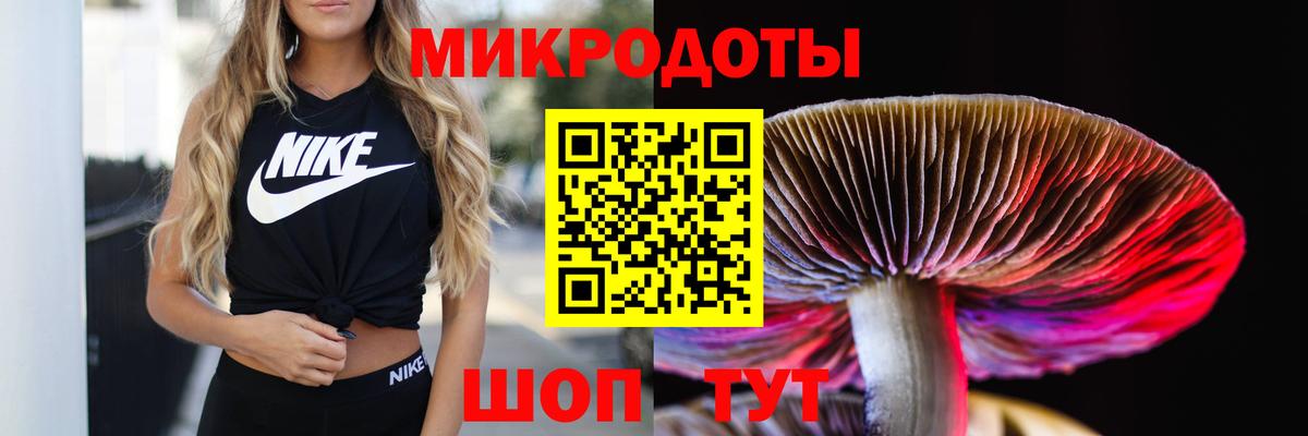 Галлюциногенные грибы мухоморы  Псилоцибиновые грибы Magic Shrooms  хочу наркоту  Вход с VPN  Зеленогорск 