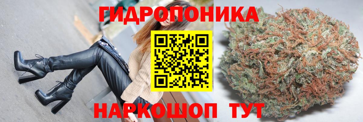 Каннабис Ganja  Шишки марихуана индика  Зеленогорск  Шишки марихуана конопля  Вход с VPN  Конопля THC 21% 
